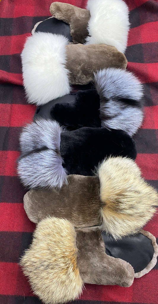 Sheared Beaver Short Mittens